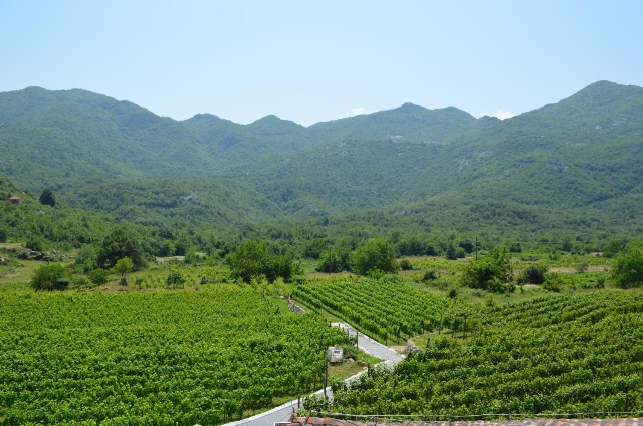 Markovic Winery And Estate Apartments 센틴제 외부 사진