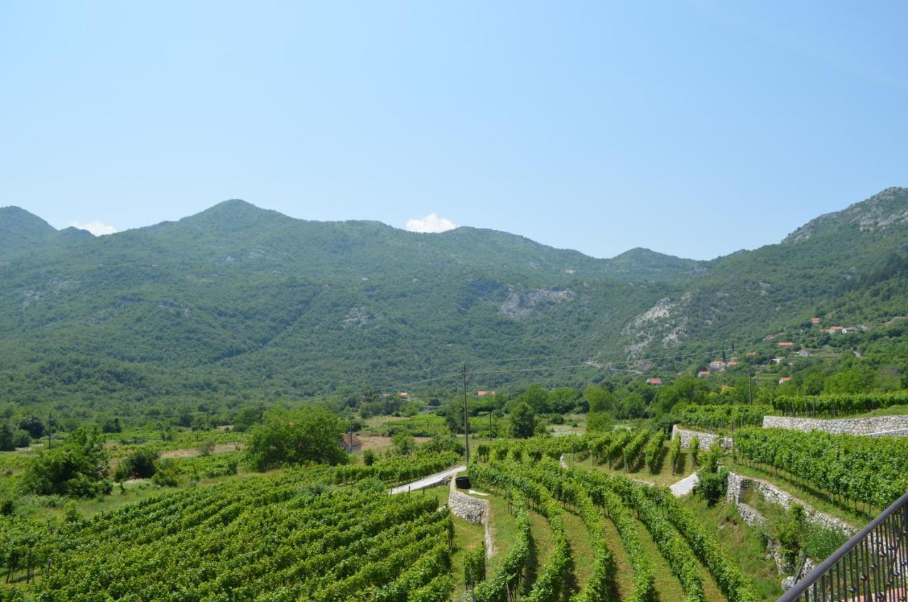 Markovic Winery And Estate Apartments 센틴제 외부 사진