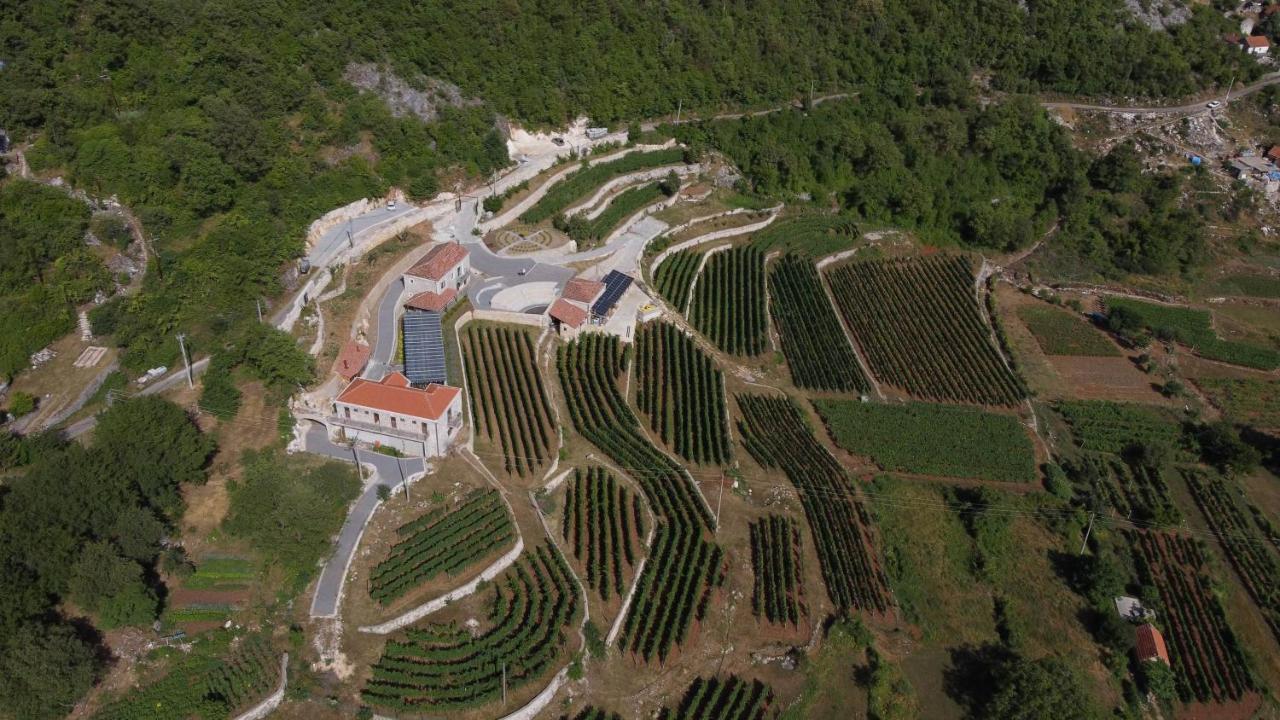 Markovic Winery And Estate Apartments 센틴제 외부 사진