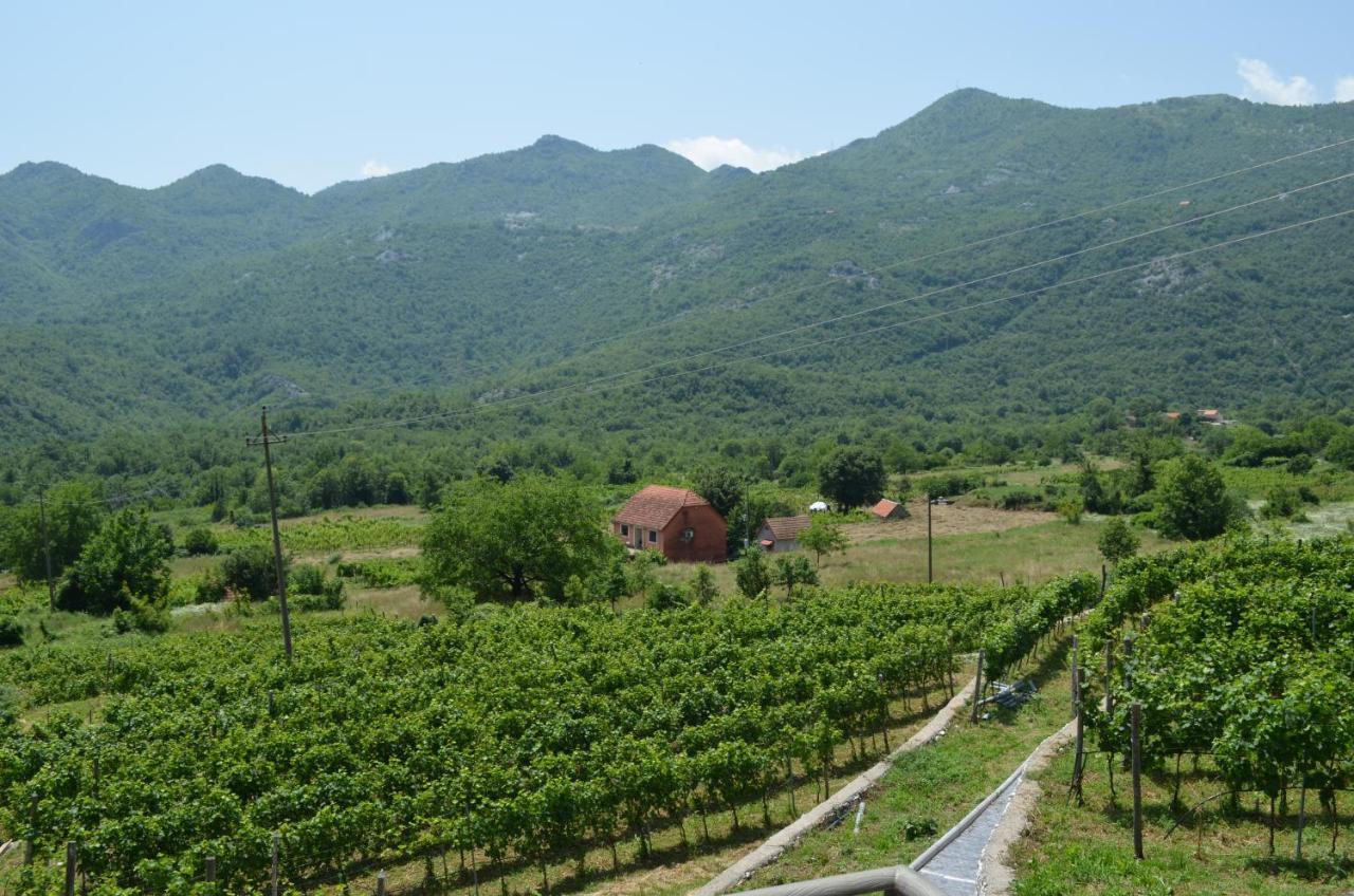 Markovic Winery And Estate Apartments 센틴제 외부 사진